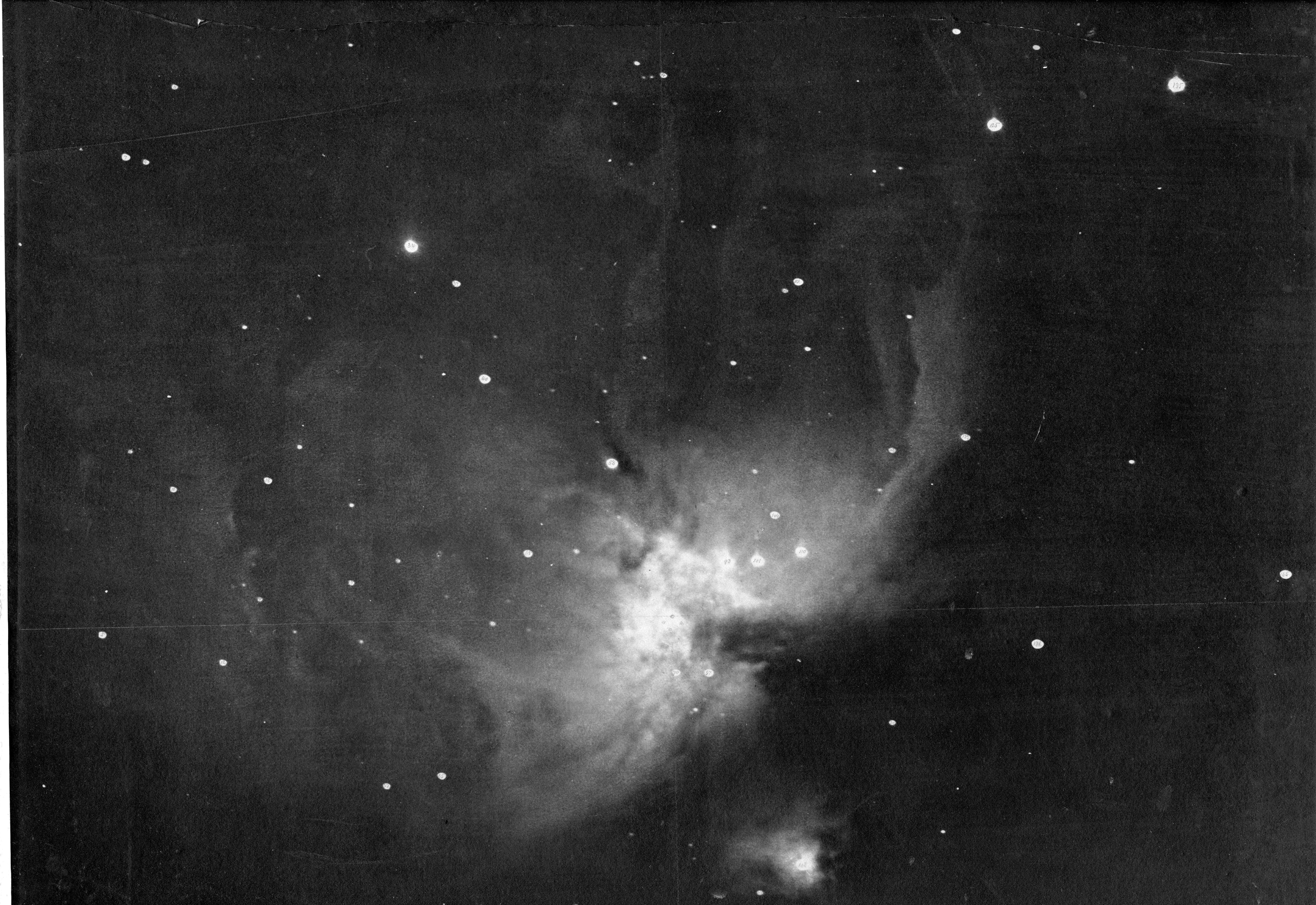 Orion Nebula