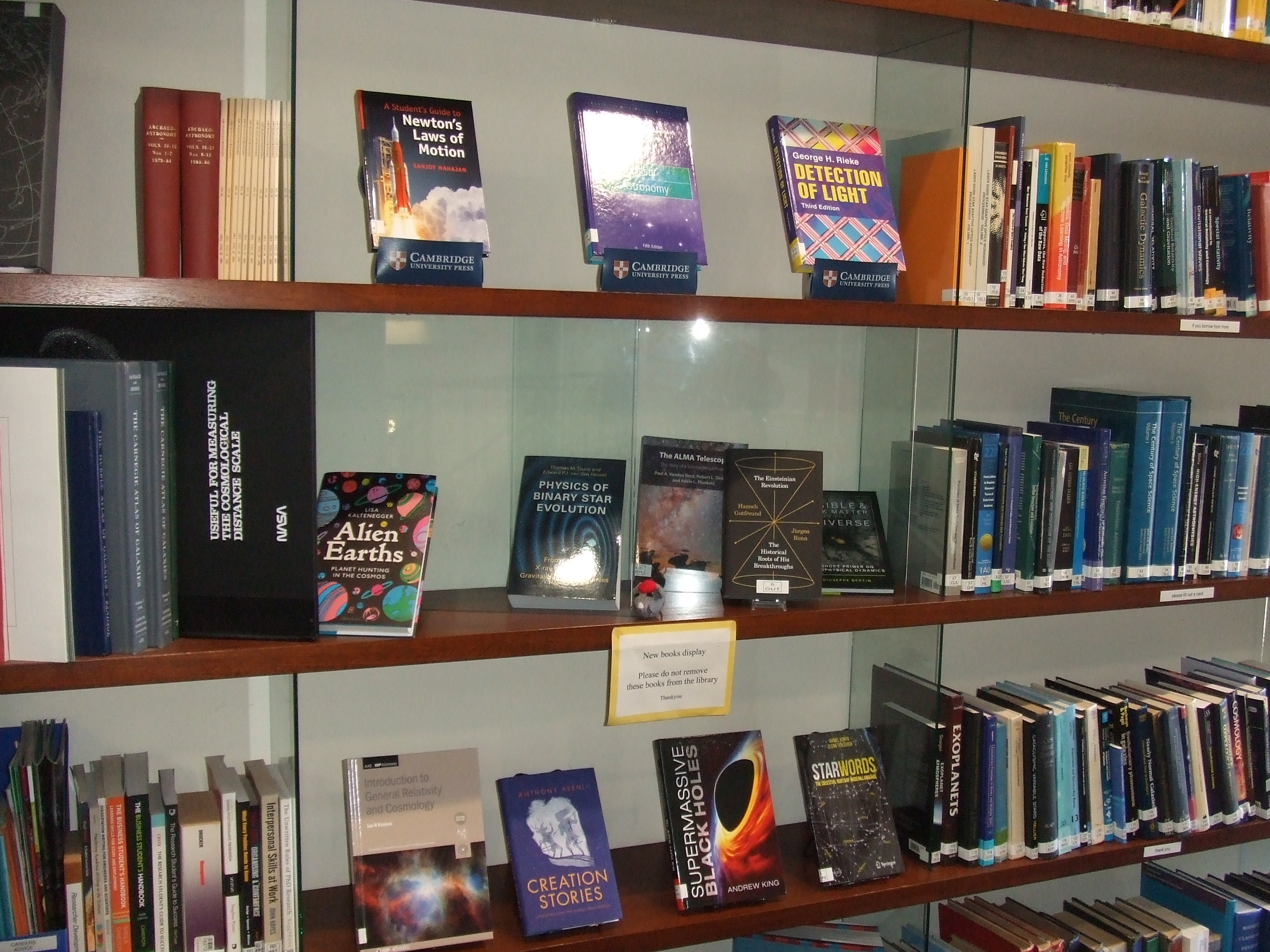 New books on library display shelves